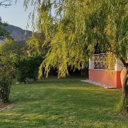 Villa Grecia Liapádesz Kültér fotó