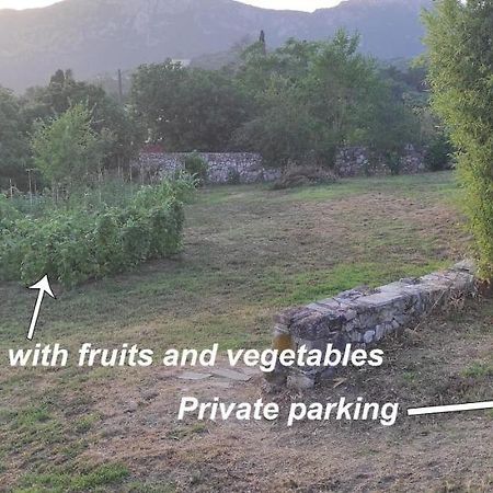 Villa Grecia Liapádesz Kültér fotó